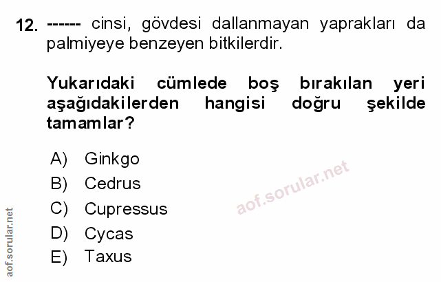Soru 12