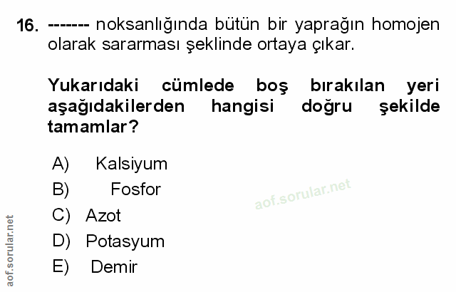 Soru 16