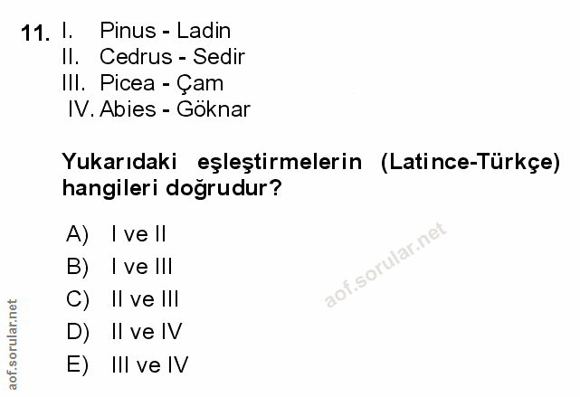 Soru 11