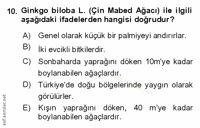 Soru 10