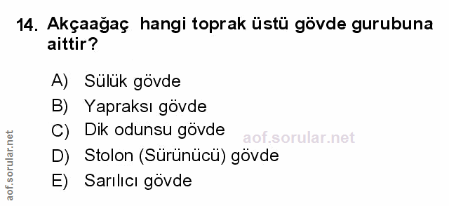 Soru 14