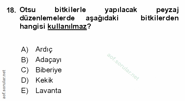 Soru 18