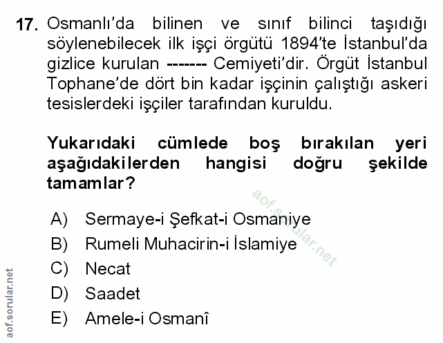 Soru 17