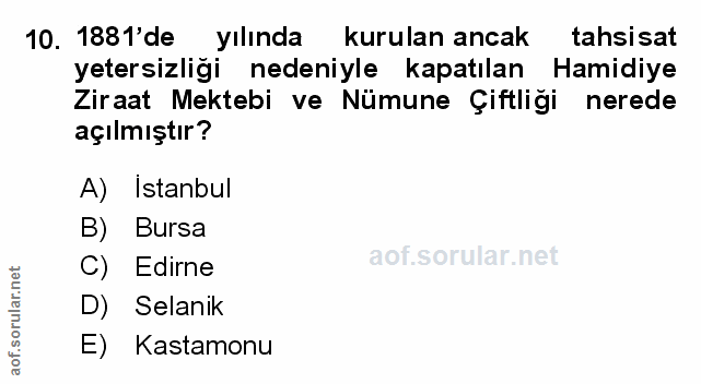 Soru 10