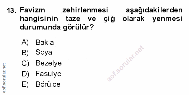 Soru 13