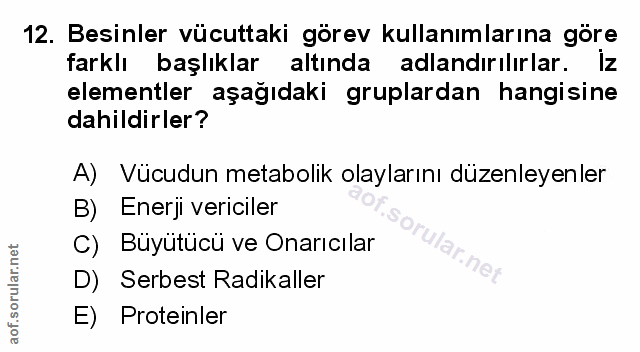 Soru 12