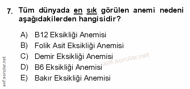 Soru 7