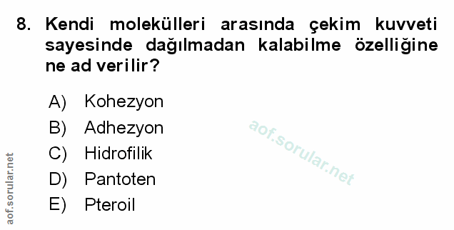 Soru 8