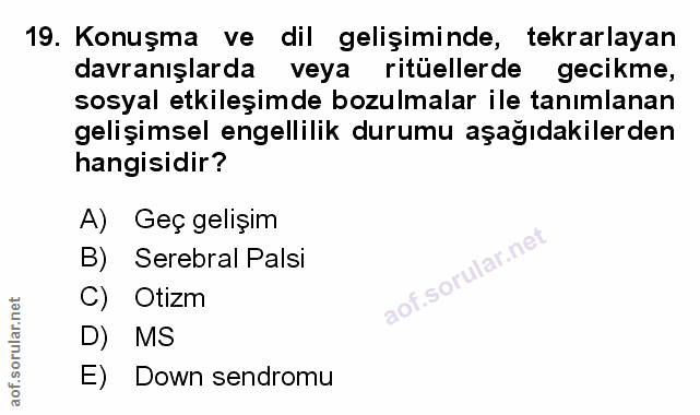 Soru 19