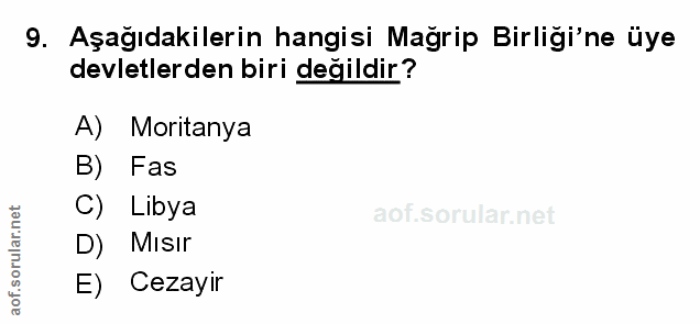 Soru 9