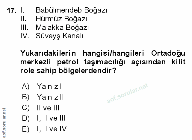 Soru 17