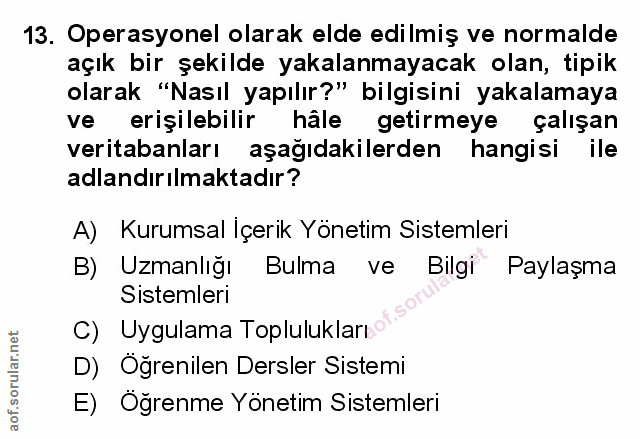 Soru 13