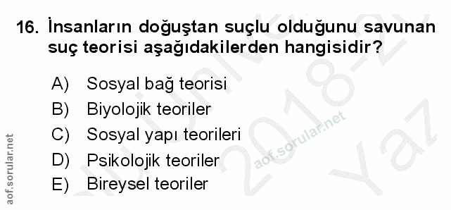 Soru 16