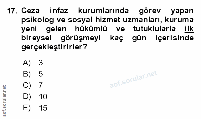 Soru 17