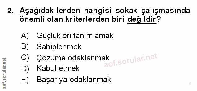 Soru 2