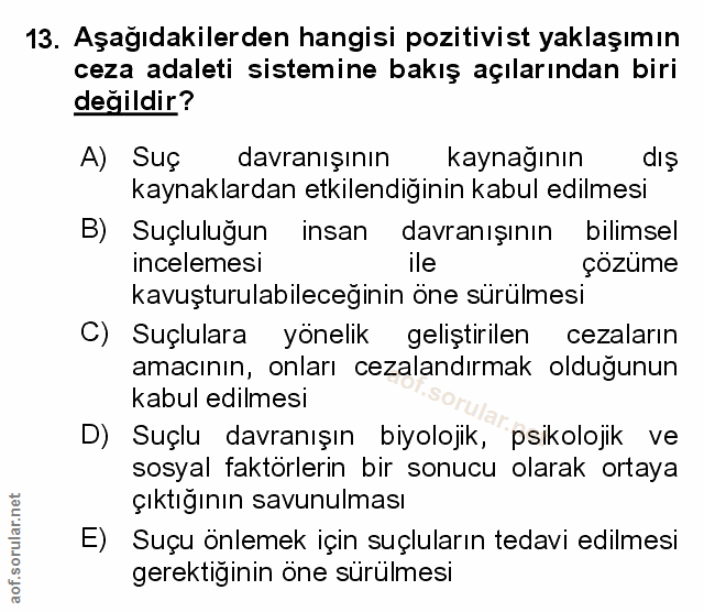 Soru 13