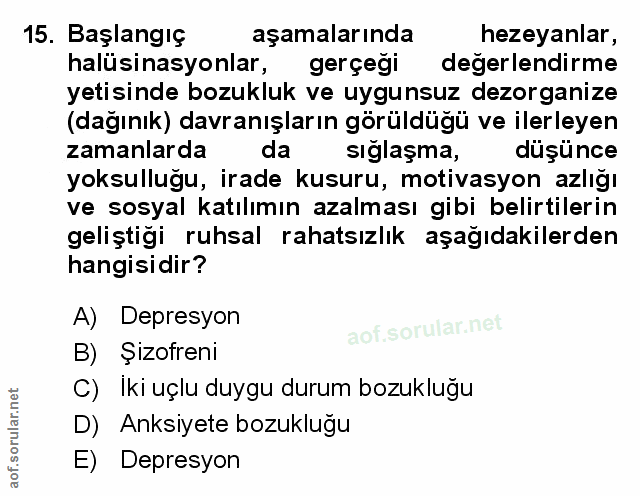 Soru 15