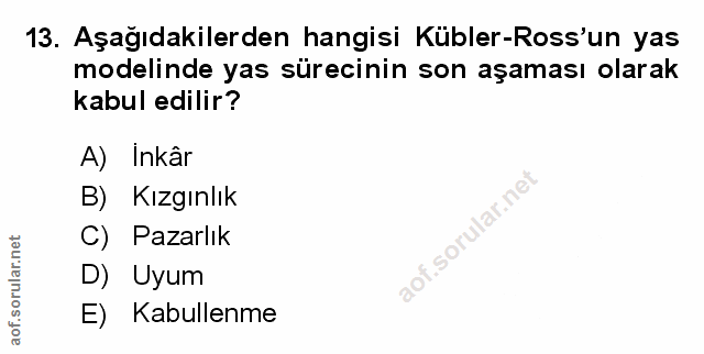Soru 13