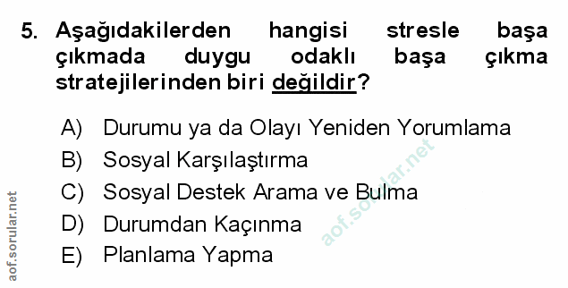 Soru 5
