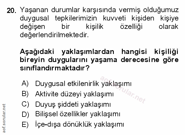 Soru 20
