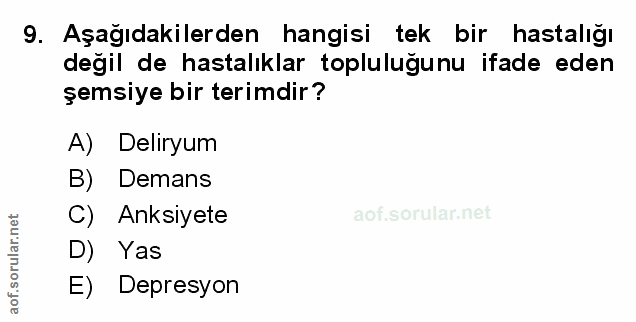 Soru 9