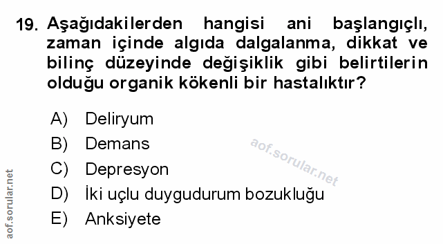 Soru 19