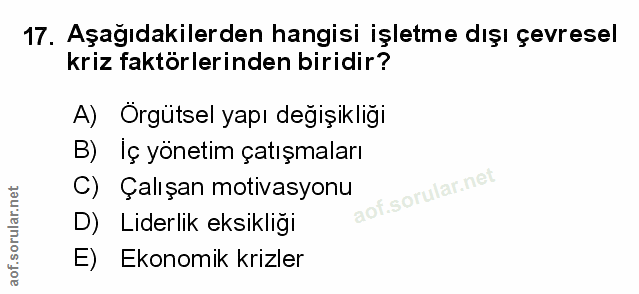 Soru 17