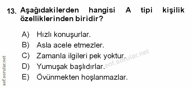 Soru 13
