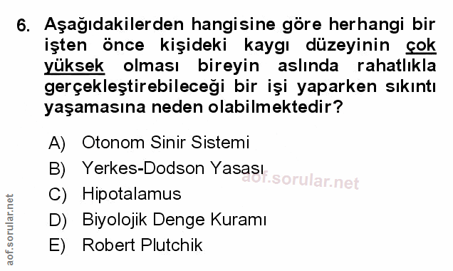 Soru 6