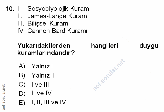 Soru 10