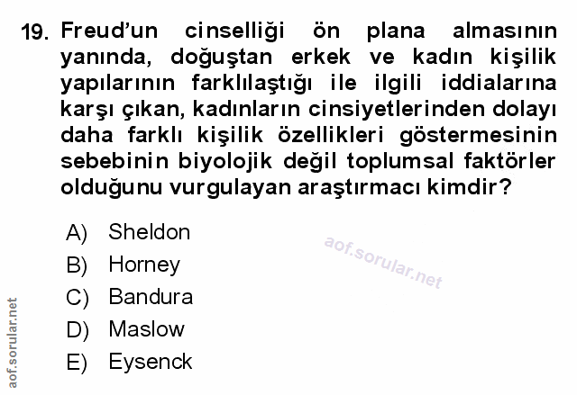 Soru 19