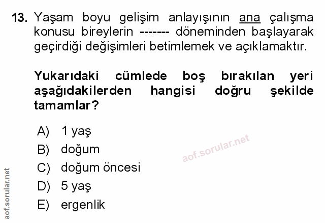 Soru 13