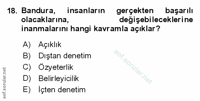 Soru 18