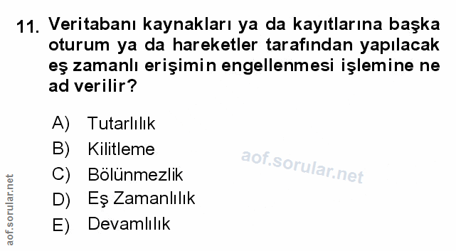 Soru 11