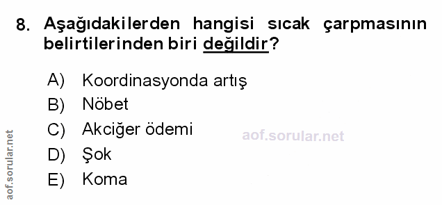Soru 8