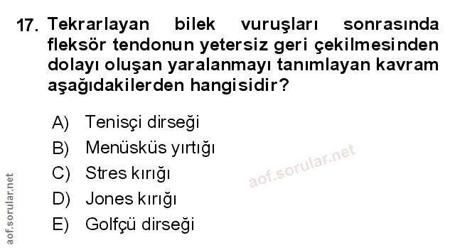 Soru 17