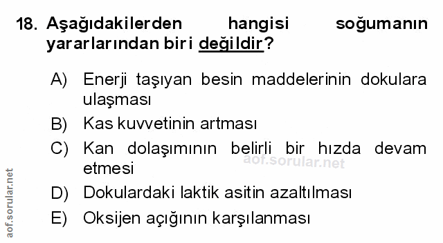 Soru 18