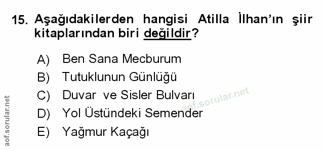 Soru 15