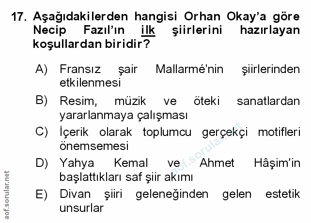 Soru 17