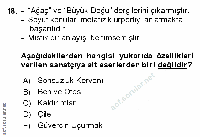Soru 18
