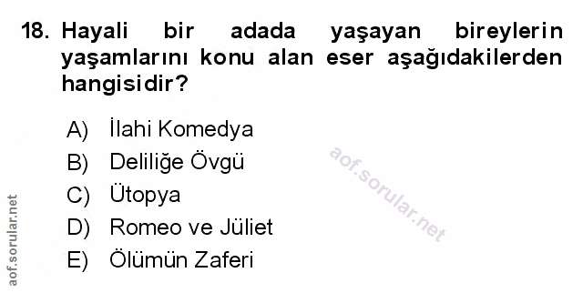 Soru 18