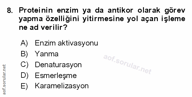 Soru 8