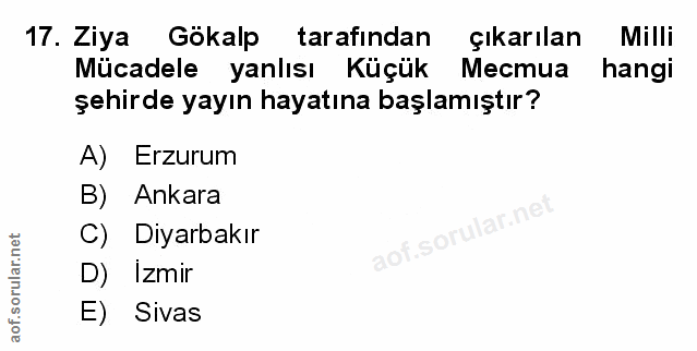Soru 17