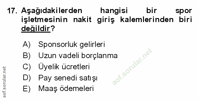 Soru 17