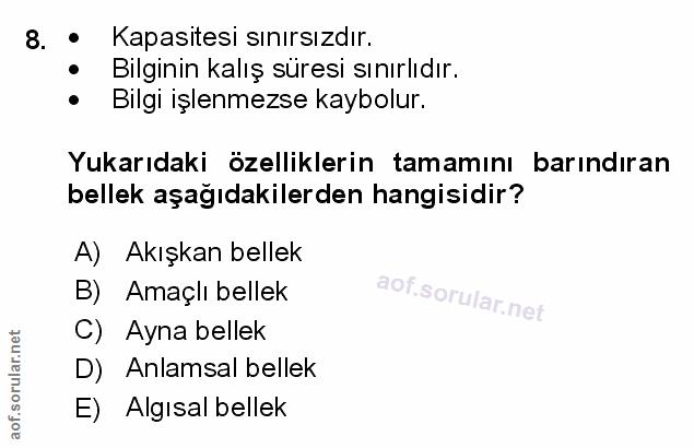 Soru 8
