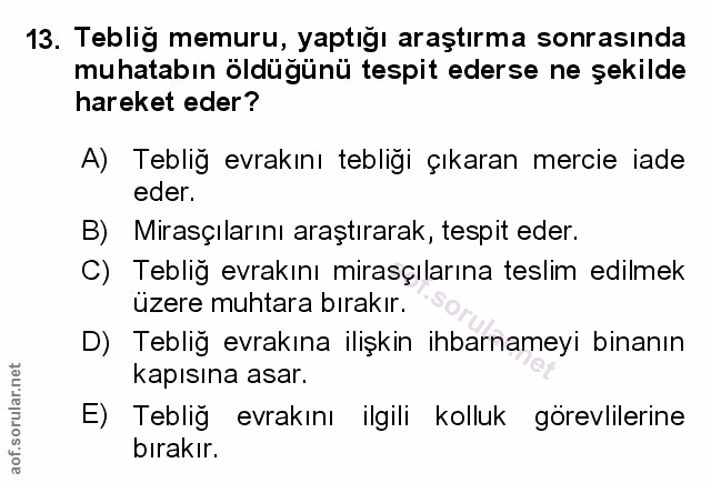 Soru 13