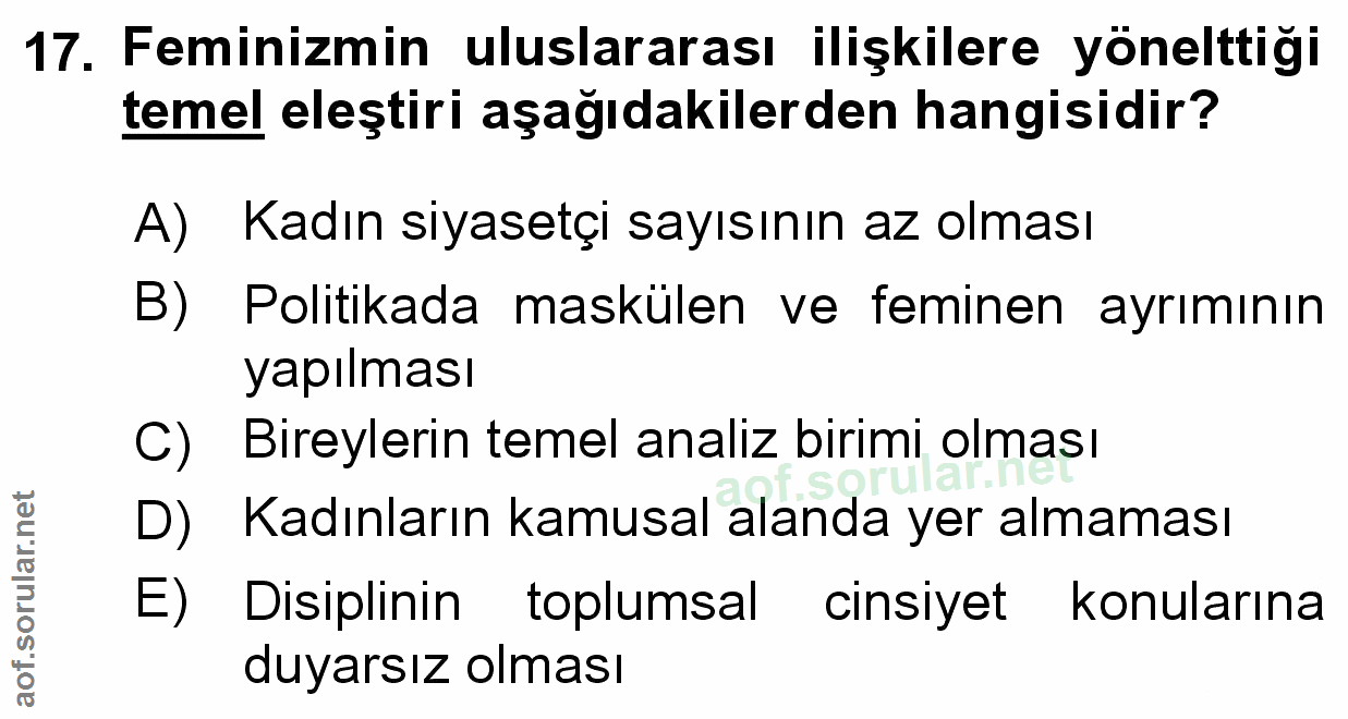 Soru 17