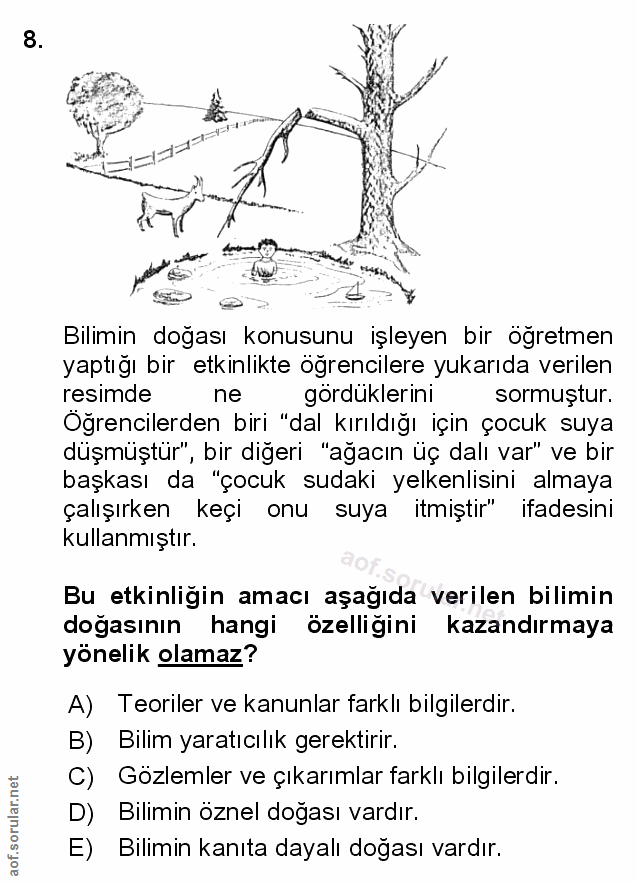 Soru 8
