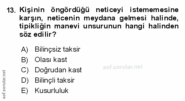 Soru 13