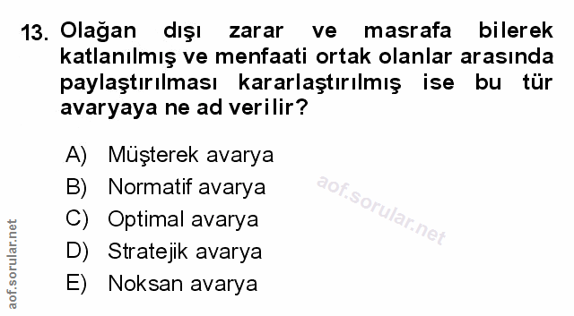 Soru 13